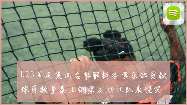 U23国足集训名单解析各俱乐部贡献球员数量泰山铜梁龙浙江队表现突出