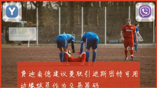 费迪南德建议曼联引进斯密特可用边缘球员作为交易筹码